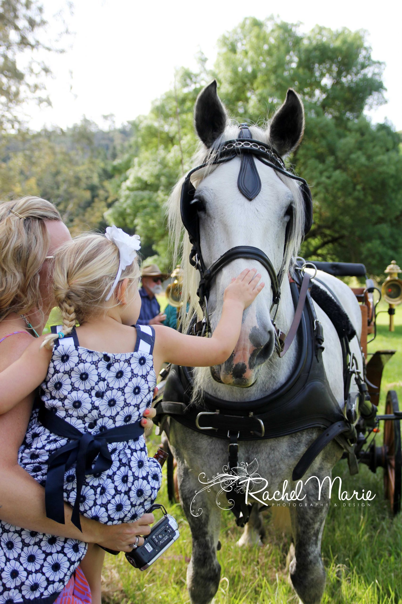 Montacute Valley Rides